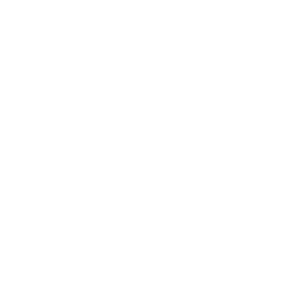 Raven Logo